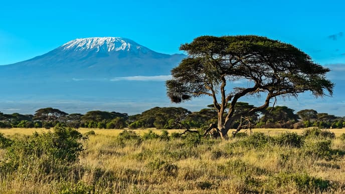 Journey back to Arusha