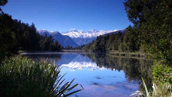 Gletscherregion mit Seelöwen und Glühwürmchen
