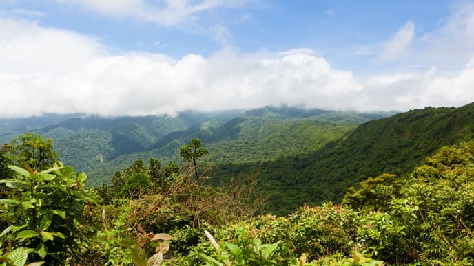 Ziplines & wildlife discovery
