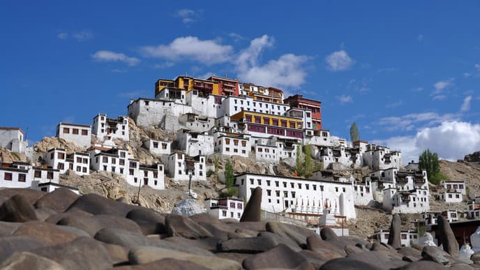 Explore the sights of Leh