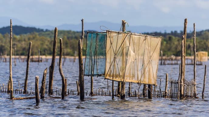 Soak up the Scenery at Andasibe National Park