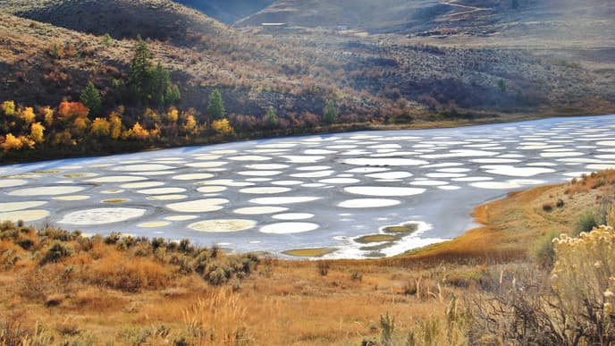 Taste the Wines of Western Canada