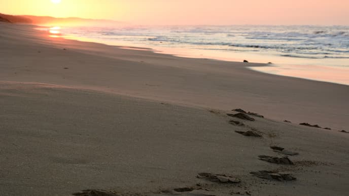 Journey to the coast