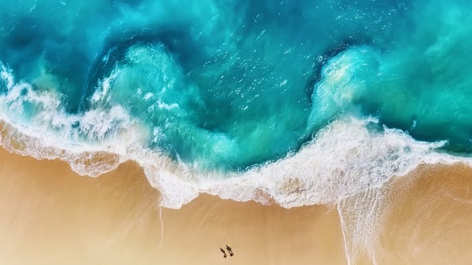 One last day of indulgence