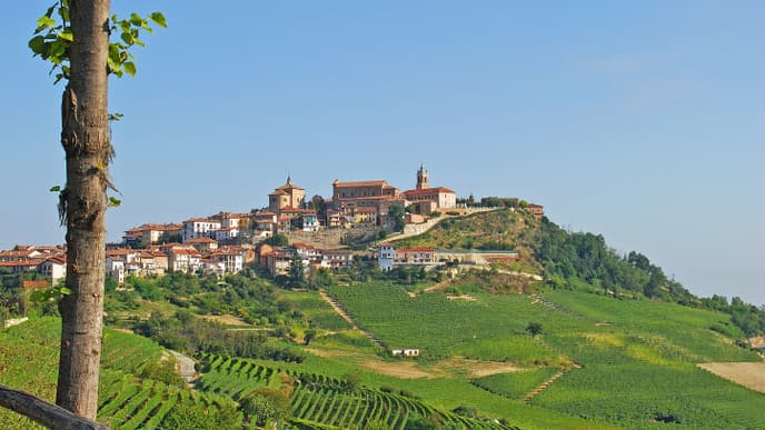 Take a cooking class in La Morra