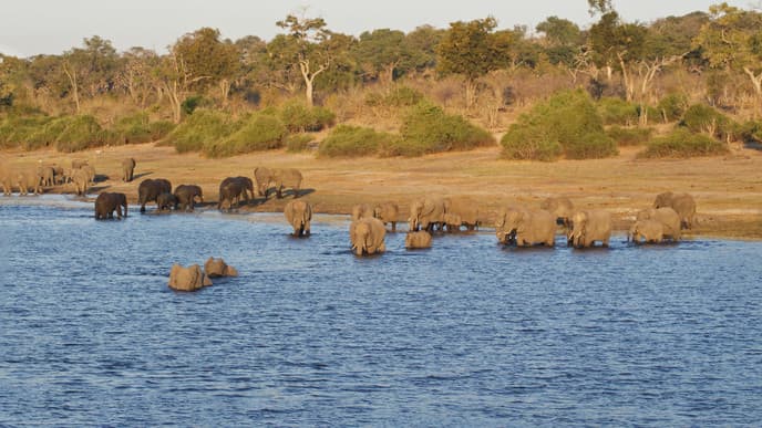 Into the heart of Chobe National Park