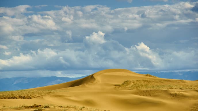 Golden Khongor dunes