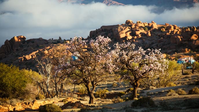 Immersive visit to a rural town