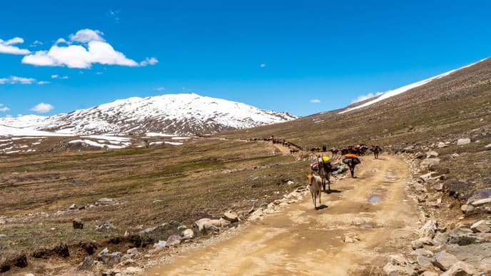 Onward to the Deosai Plains