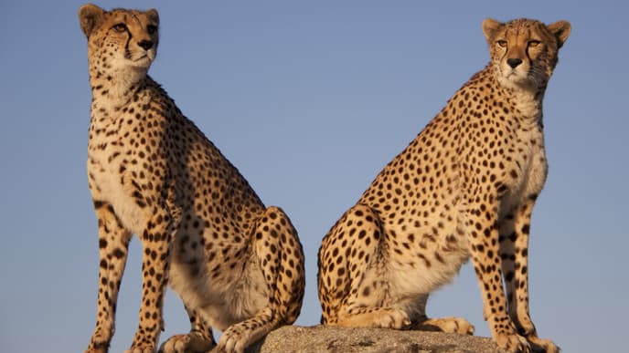 Kenias größter Nationalpark