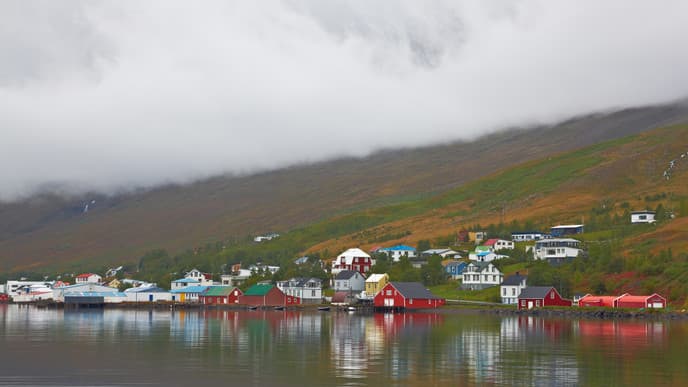 Explore the eastern fjords