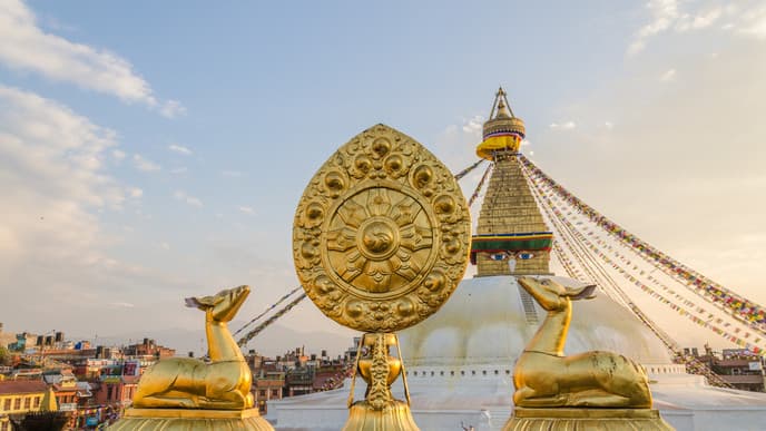 Half-day Sightseeing tour & Departure