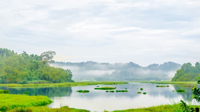 Enjoy a day in nature