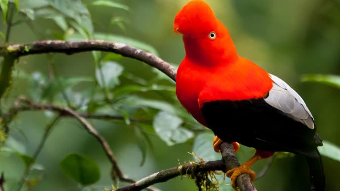 Soak up Ausangate views en-route to Cusco