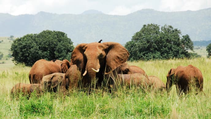 Drive Towards Kidepo Valley