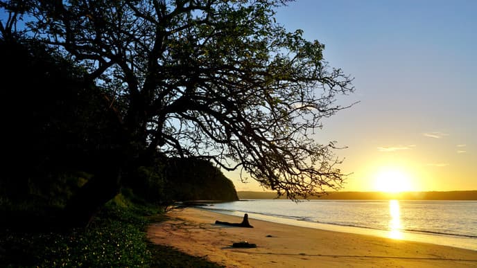 Another day of beach R&R