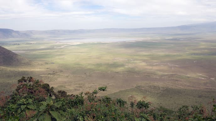 Ngorongoro Highlands