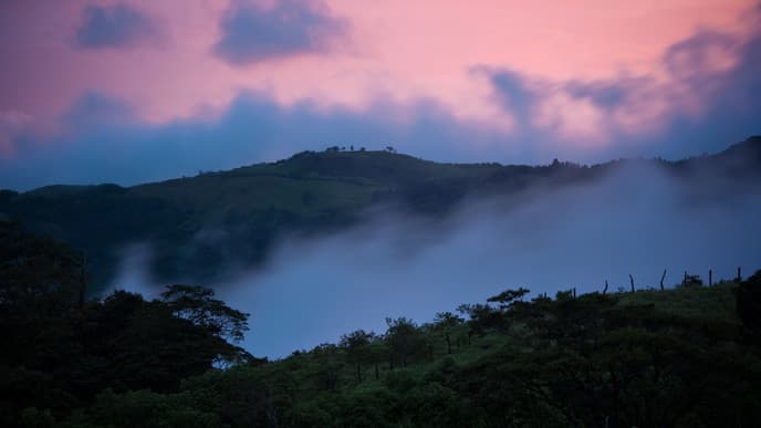 Make your Way to the Gorgeous Cloud Forest in Monteverde