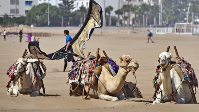 Essaouira exploration