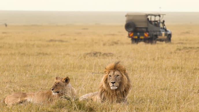 Day 2 - Lake Nakuru