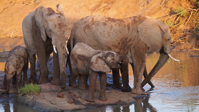 Dinner unterm Sternenhimmel