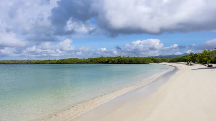 Explore the bay of Santa Cruz & beyond