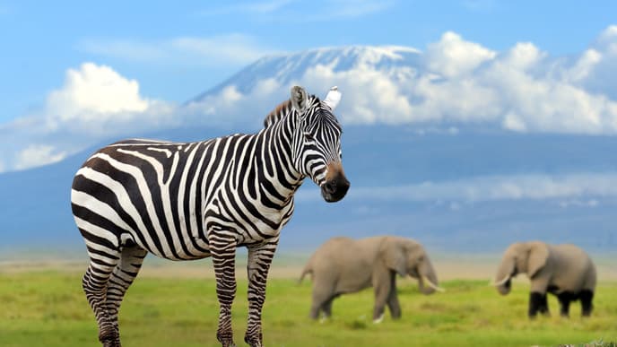 Aktivitäten im Mountain Zebra National Park