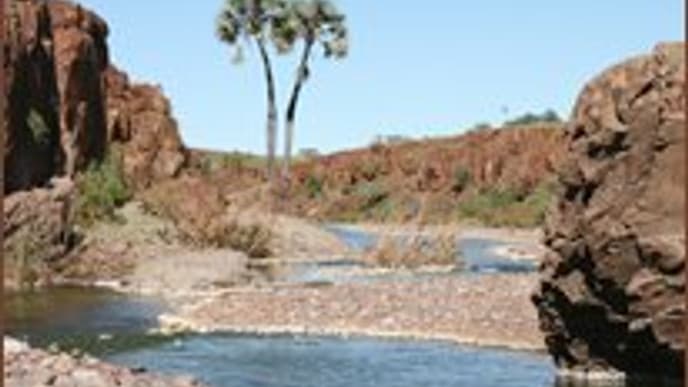 Zelt-Safari durch Flora und Fauna