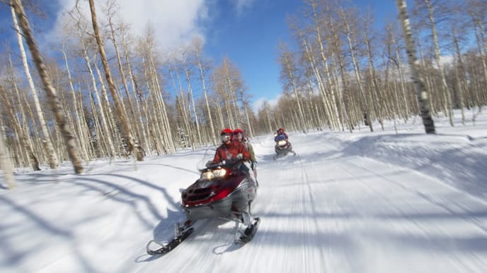Snowmobiling & reindeer farm