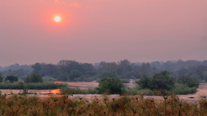 Boot- und Landsafaris