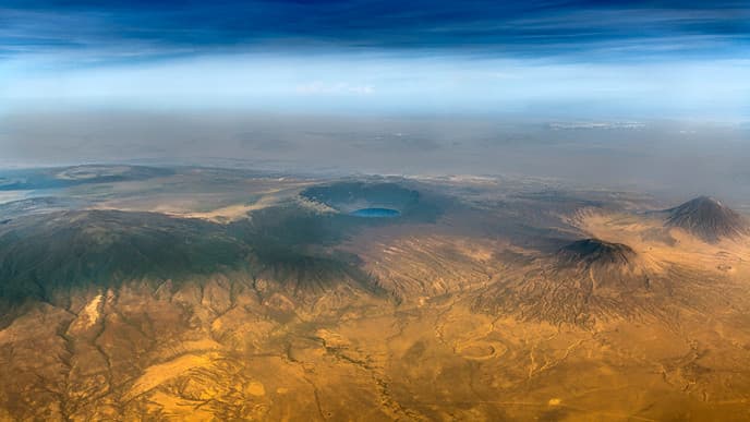 Schwarze Nashörner und knuffige Hippos