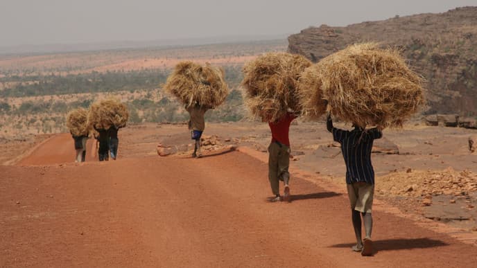 Aktive Erholung im Mlilwane Wildlife Sanctuary