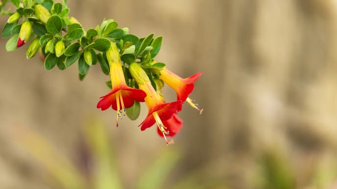 Breakfast, then a flight to Rurrenabaque