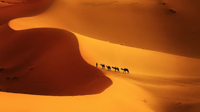 Journey to the desert for a night under the stars