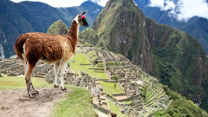 The beauty of Machu Picchu