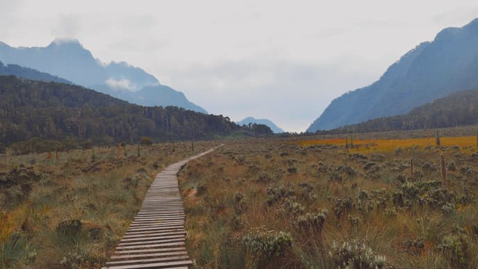 End the Trail at Base Camp