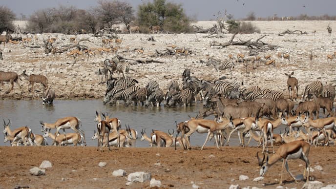 Westteil Etosha Nationalpark