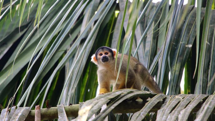 Marvel at the Amazing Wildlife