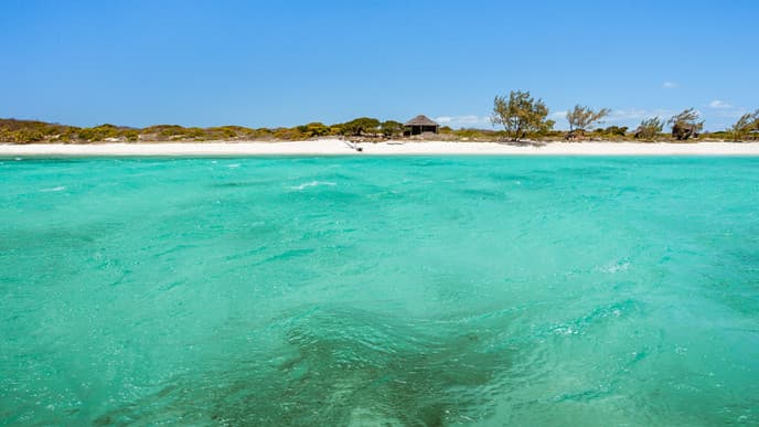 Freier Tag am Strand unter Palmen