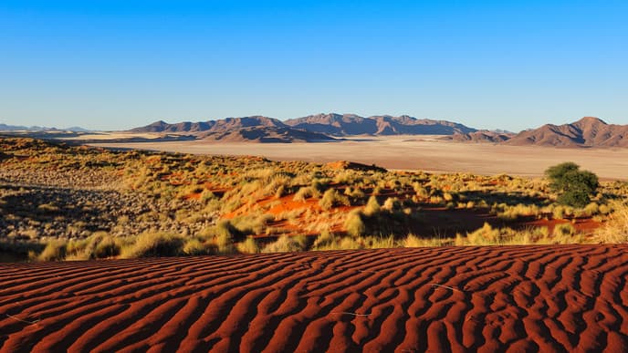 Guided Desert Excursion In Namib Desert
