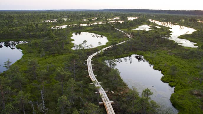 Adventure in Kemeri National Park
