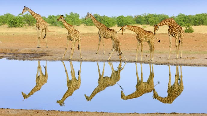 Explore the park's lesser-known areas