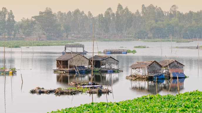 A day on the peaceful Mekong Delta
