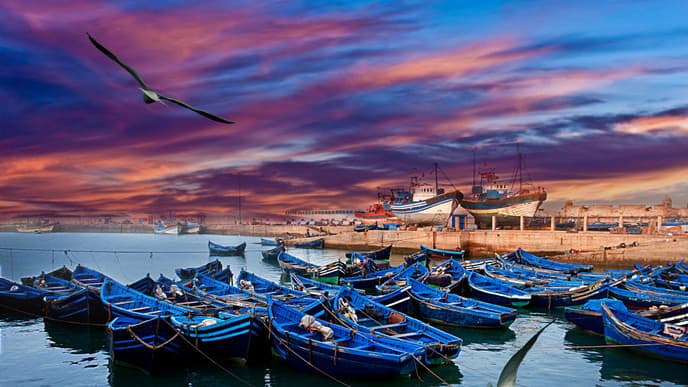 Journey to the coast