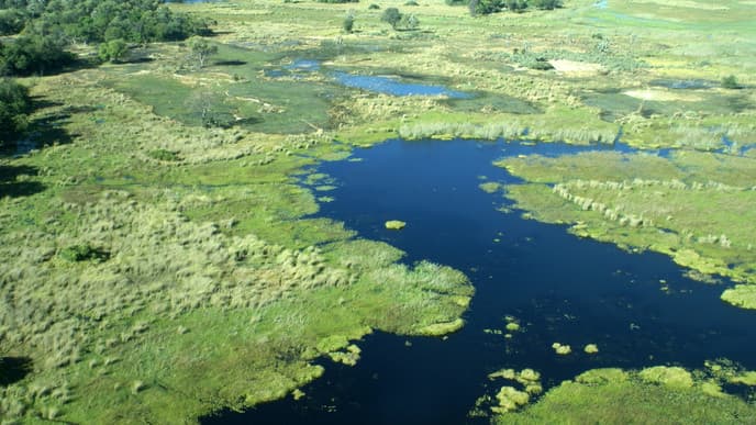 Last Morning on the Delta