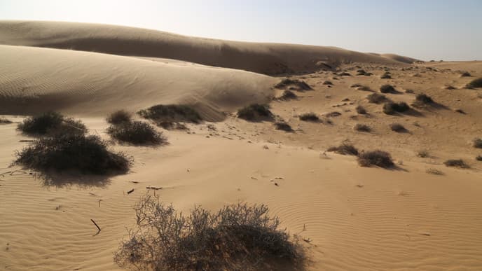 A day of exploring desert sands
