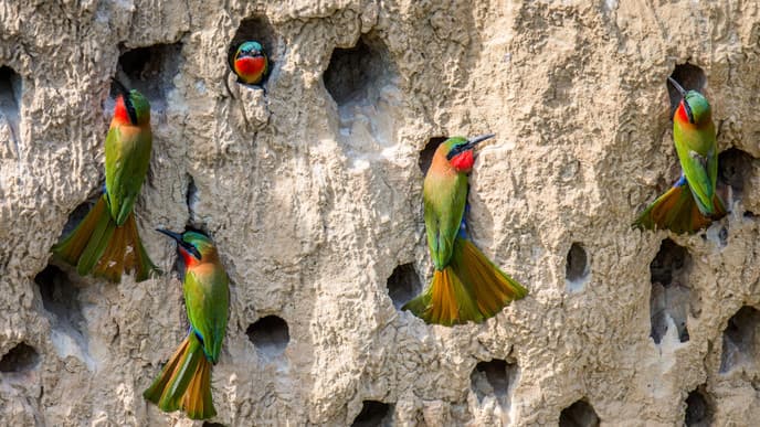 Bootsfahrt auf dem Kazinga-Kanal