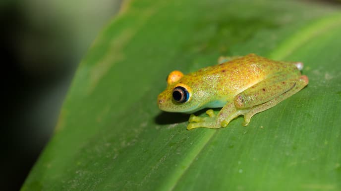 Den Park kennenlernen