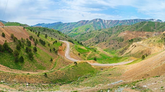 Head for the Uzbek Capital