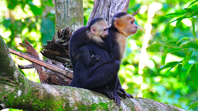 Abschied von Costa Rica